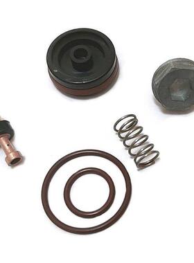 N008792 Replacement Regulator Repair Kit,Fits D55155 D55168