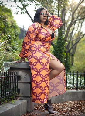 Autumn 2021 New Fashion Plus Size Women's Commuter Chiffon F