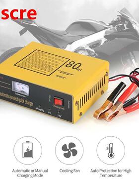 6V/12V Intelligent battery charger Automatic Pulse Repair Ty