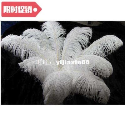 10 pcs Party Decoration ostrich feather beautiful wedding