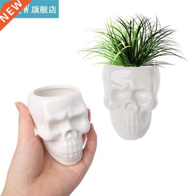 Creative Skull Ceramic Pot Green Succulent Planter Plant Co