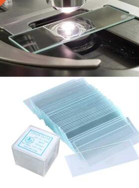Basic Biological Prepared Microscope Slide Set 适用于 Scie