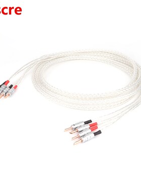 Yter pair 8AG 8N single crystal silver Plated Speaker Cable