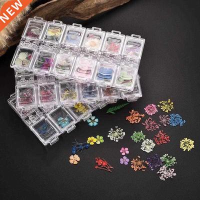 Pressed Dried Flower Dry Plants For Epoxy UV Resin Pendant N