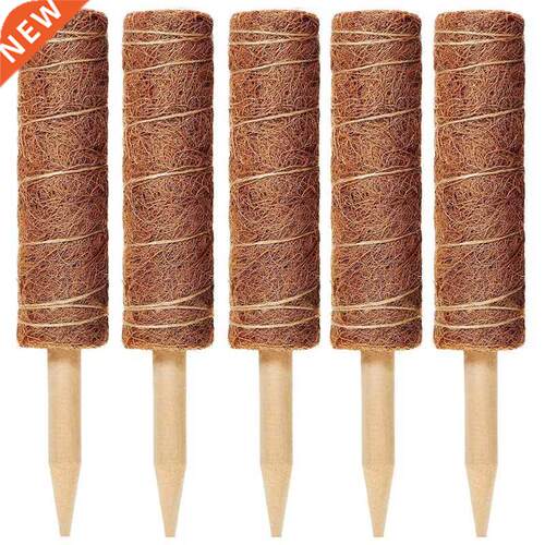 5 Packs of 12-Inch Coconut Shell Totem Poles-Coconut Shell M