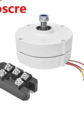 Wind Turbine Permanent Magnet Generator 12V 100W 750rpm 3-Ph