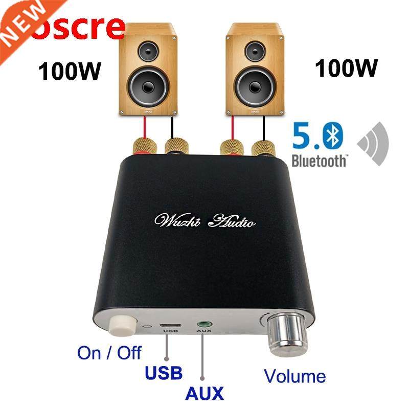 2*100W Bluetooth 5.0 TPA3116D2 Digital Power Audio Amplifier