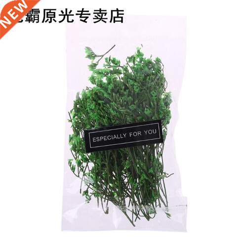 1 Bag Real Pressed Dried Flowers Floral Plants Embellishment