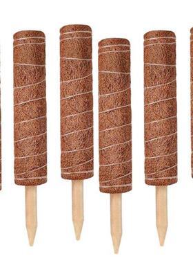 6PCS Extension Climbing Indoor Plants Creepers Plant Support