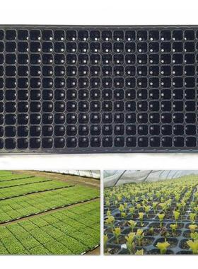 1set Multi-Function Storage 200 Cell Plant Grow Orc Nurs