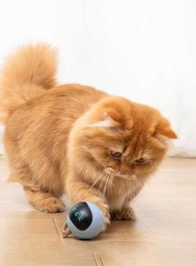 USB Rechrgeble Pet Ct Colorful LED Smrt Interctive Toy