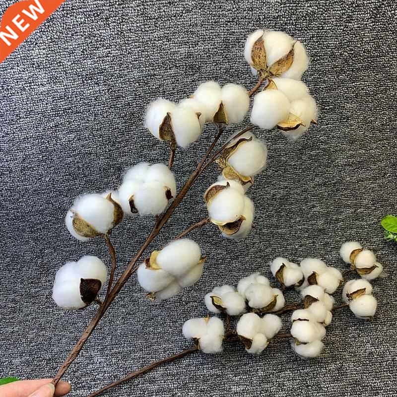 Real Dried Cotton Flowers Tulip White Home Decorative Artifi 包装 内托 原图主图