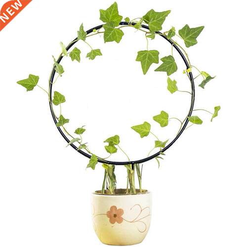 Metal Iron Plant Support Frame Stand Round Heart Shaped Plan