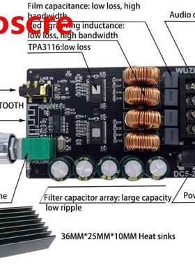 HIFI 100WX2 TPA116 Bluetooth 5.0 High Power Digital Amplifi