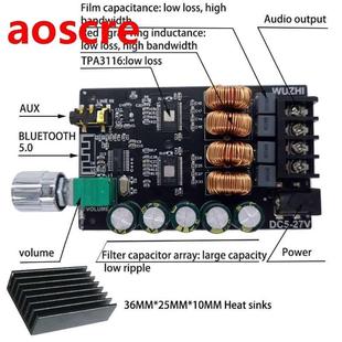 HIFI 100WX2 TPA116 Bluetooth 5.0 High Power Digital Amplifi