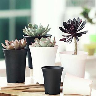 Brief Black White Flower Pot Plastic Succulent Plant Pot Thi
