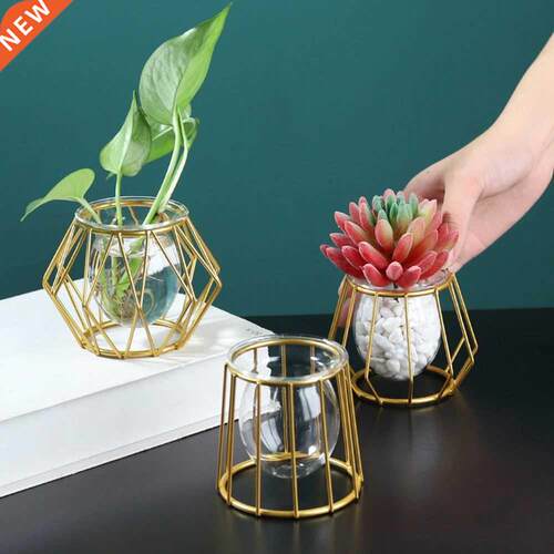 Nordic Golden Glss Vse Terrrium Geometric Iron Line Vse