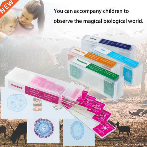 35Pcs Microscope Specimen Slides Specimens Biological Primar