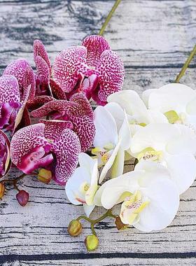 1 Bundle（6 Heads） Plastic Butterfly Orchid Vases for Home