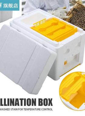 Bee Hive Beekeeping King Box Pollination Box Foam Frames Bee