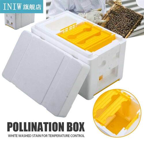Bee Hive Beekeeping King Box Pollination Box Foam Frames Bee