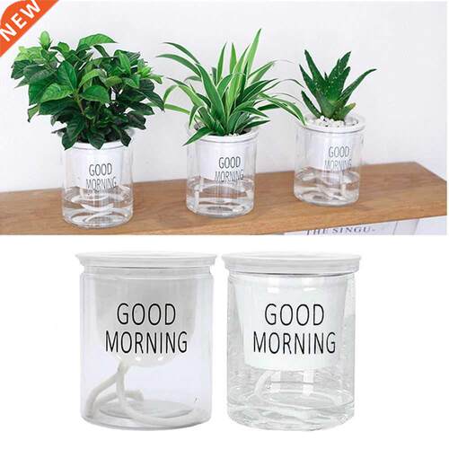 New Creative Transparent Round Plastic Self-watering Flowerp