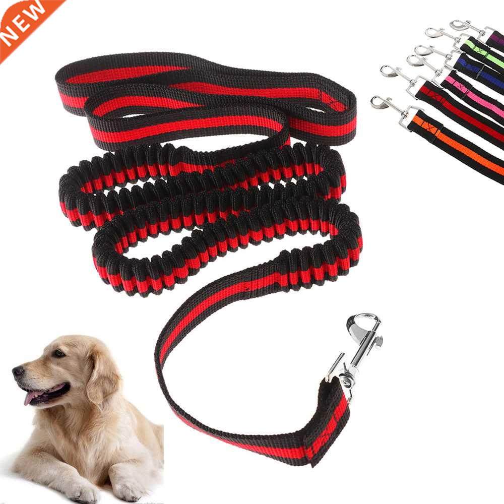 120cm Dog Walking Elastic Bungee Leash Hand Free Dogs Leashe