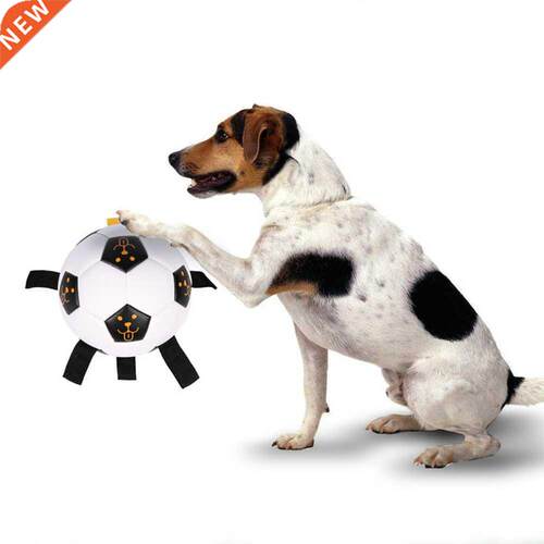 Interactive Dog Toys Pet Football Toys Dog Outdoor training