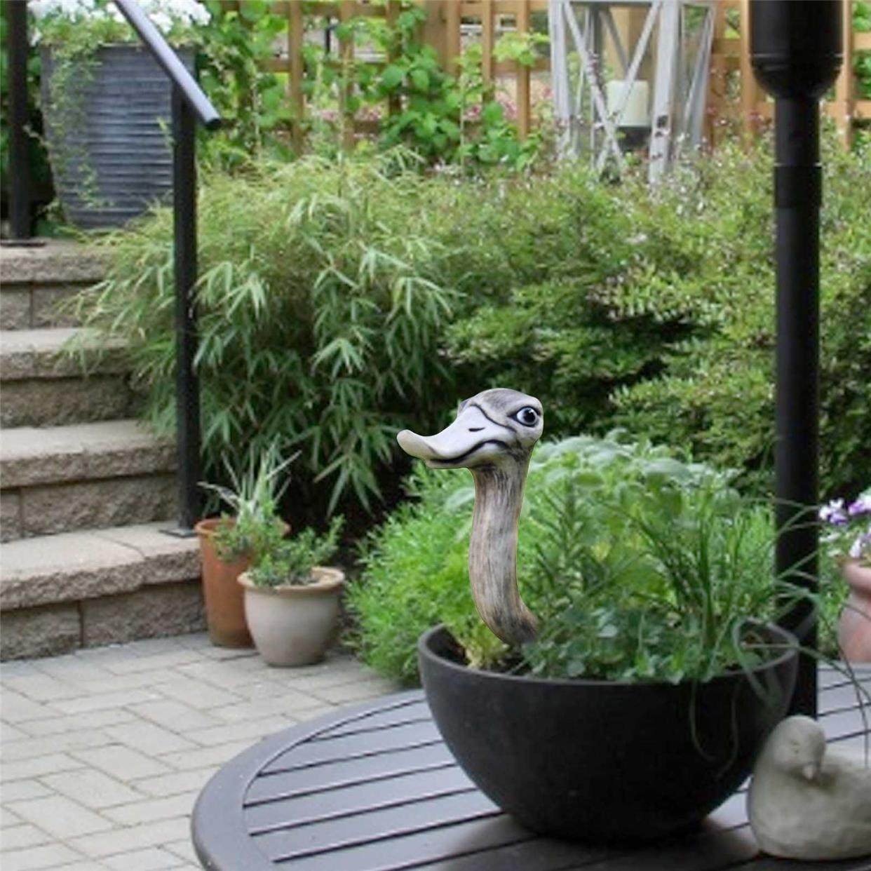 2PCS Simulation Ostrich Head Animal Model Shooting Props Out