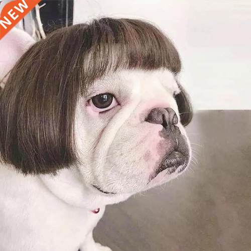 Pet Wigs Cosplay Props Funny Dogs Cats Cross-Dressing Hair H