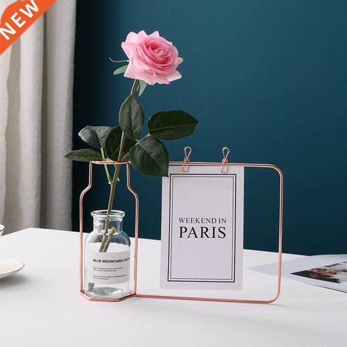 Nordic Hydroponic Glass Vase Wrought Iron Vase Photo Frame D