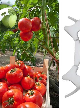 Reinforcement Clips Vegetables Green Plant Supporting Fixing