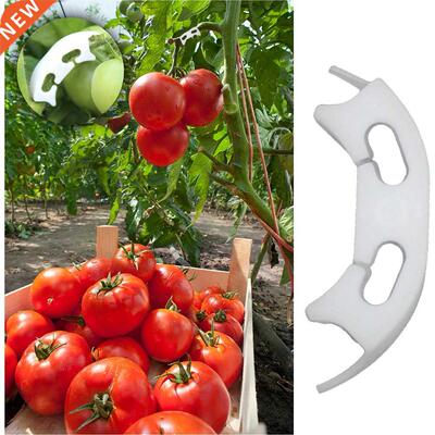 Reinforcement Clips Vegetables Green Plant Supporting Fixing