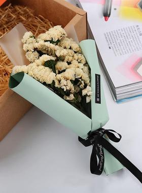 Dried Flower Branch Myosotis Preserved Flower Photo Prop For