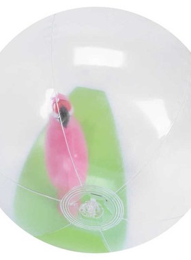 Beach Ball Cartoons Inflatable 3?Dimensional Transparent Ent