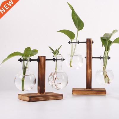 Hydroponic Plant Terrarium Vasevase Decoration Home Glass Bo
