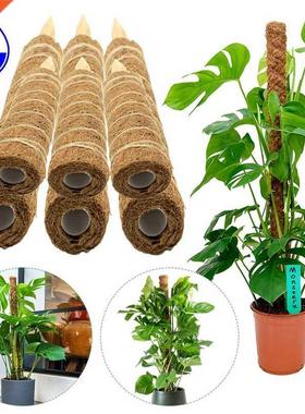 Moss Pole Plant Support Frame,Coconut Moss Poles for Indoor