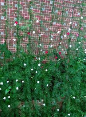 Nylon Trellis Net Garden Fence Mesh Plant Climbing Frame Gar