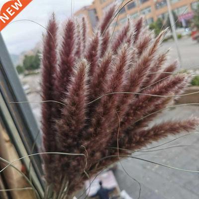 15Pcs Dried Small Pampas Grass Flowers Pantas Artificiales P