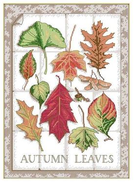 Cross Stitch Kits 11CT Stamped Autumn Leaves Easy Patterns E