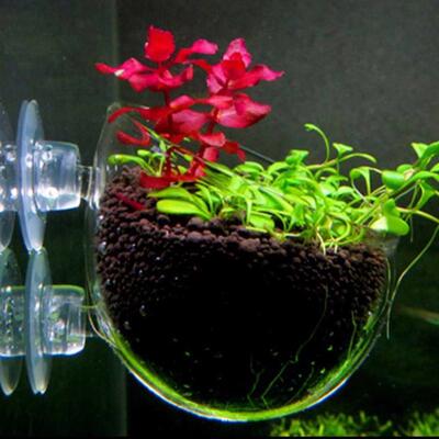 Nicrew Aquarium decoration fish tank Mini Crystal Glass Pot