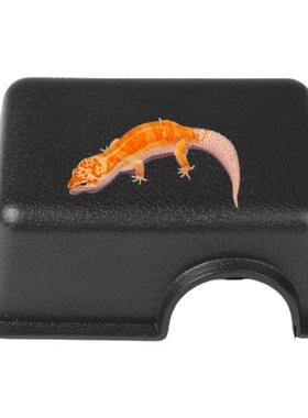 Snake Hiding Cave Reptile Hideout Lizard Leopard Shelter Pet