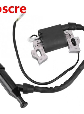 Ignition Coil Generator Parts Fits for 168F-170F 2KW/3KW Gas