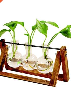 Terrarium Creative Hydroponic Plant Transparent Vase Wooden