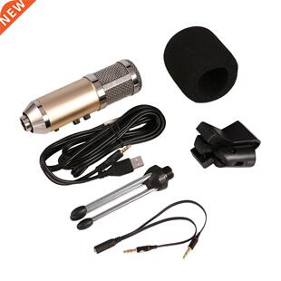 Vocal Microphone Large Diaphragm Studio Recording Microphone