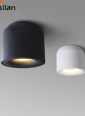 Aisilan LED Downlight Ceiling Spotlights Living Lamp Nordic