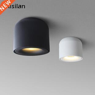 Aisilan LED Downlight Ceiling Spotlights Living Lamp Nordic
