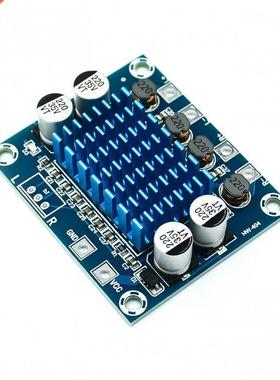 TPA110 XH-A22 0W+0W 2.0 Channel Digital Stereo Audio Pow