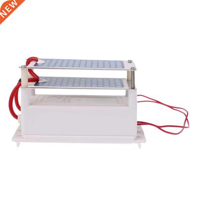 Ceramic Ozone Generator 220V 10g/h Double Ceramic Plate Air