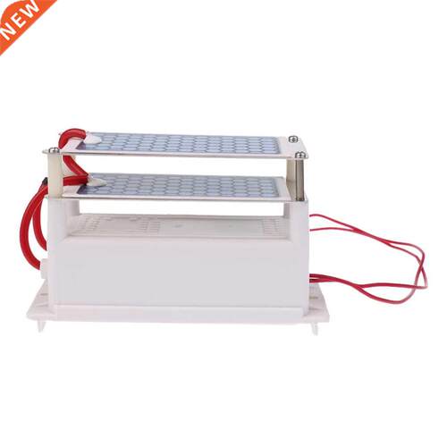 Ceramic Ozone Generator 220V 10g/h Double Ceramic Plate Air
